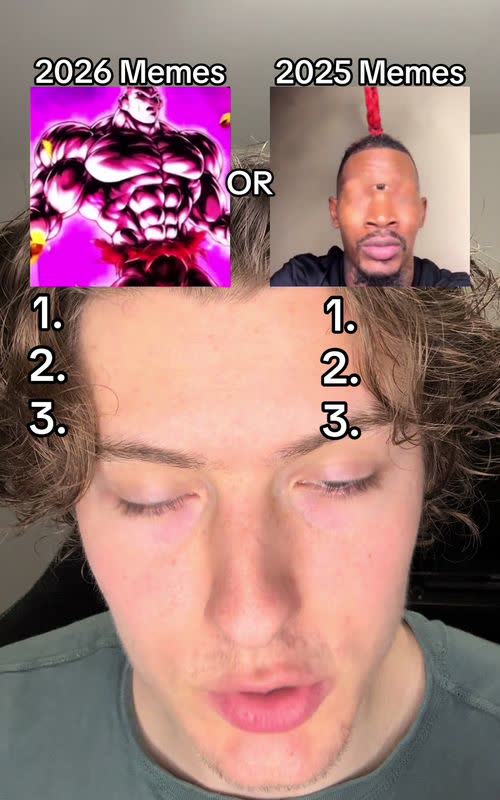 Shaking head AI meme TikTok trend example by @usergoofball