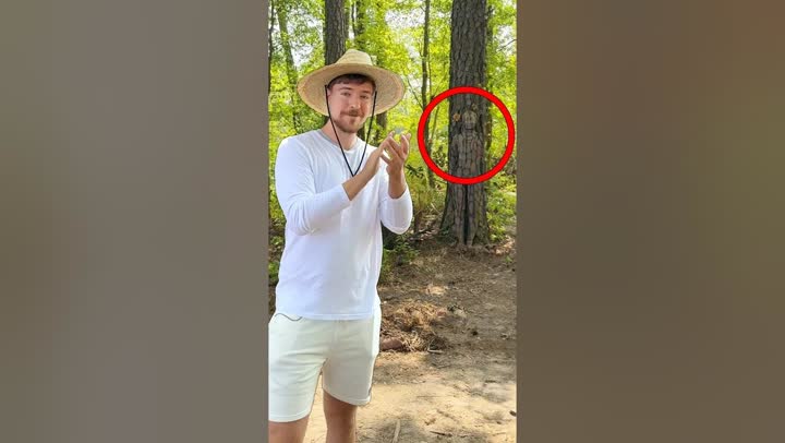 Spot The Hidden People For $10,000