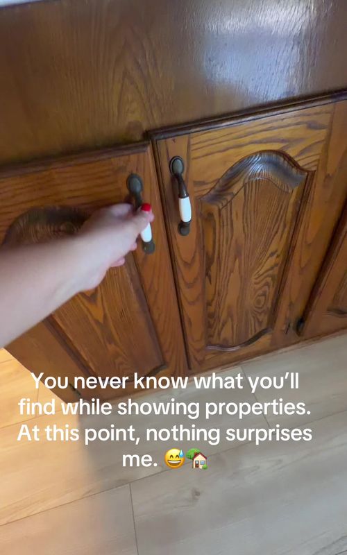 You never know what you'll find while showing properties. At this point, nothing surprises me. - TikTok hook example