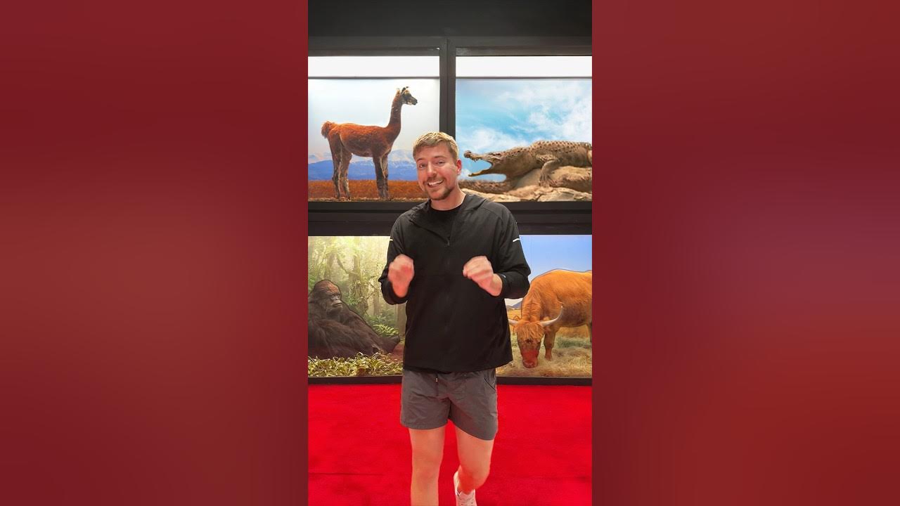Spot The Fake Animal For $10,000