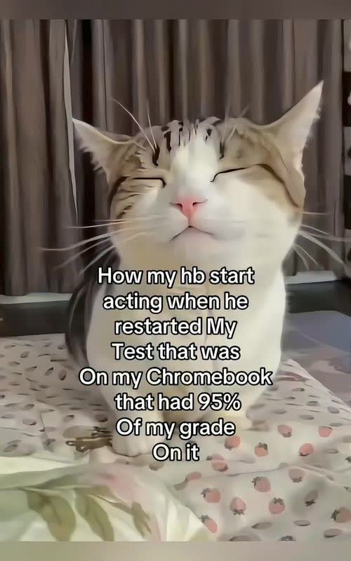 Shaking head AI meme TikTok trend example by @lemonglow83
