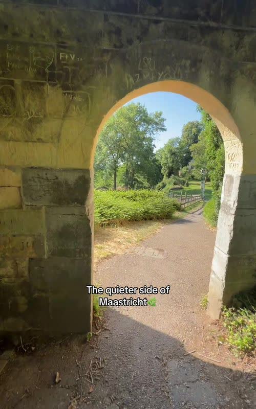 @anemoia_medieval outlier video