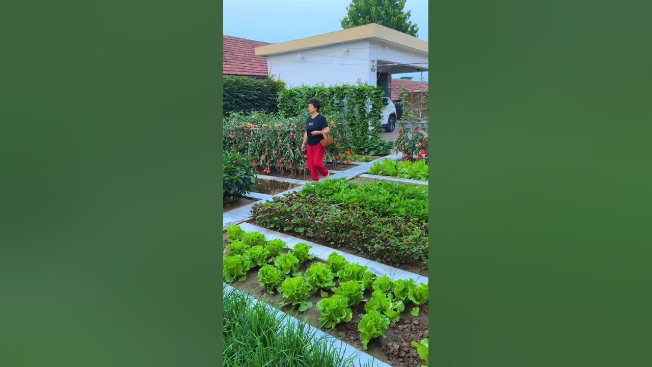 @Gardenlife12 outlier video