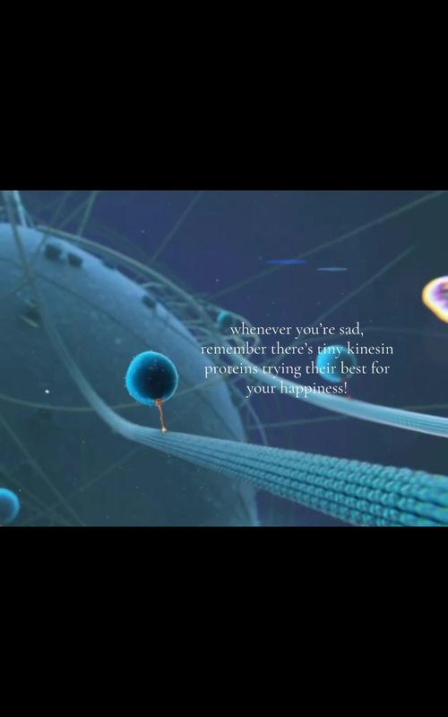 @neurofacts.101 outlier video