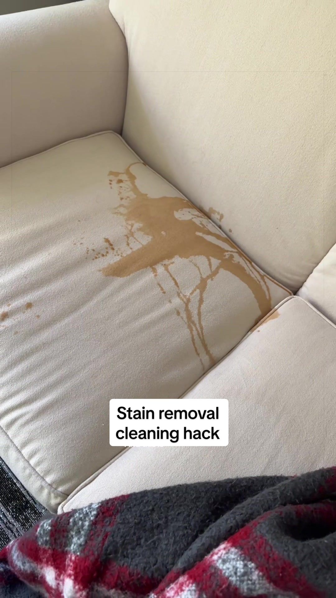 I just spilled coffee all over my white couch. So I guess it's a good time to show you my favorite cleaning product for getting it off. - TikTok hook example
