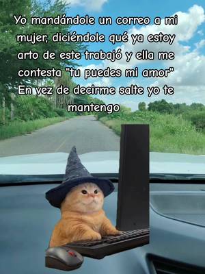 Wizard cat typing at a computer TikTok trend example by @elarthur17diaz