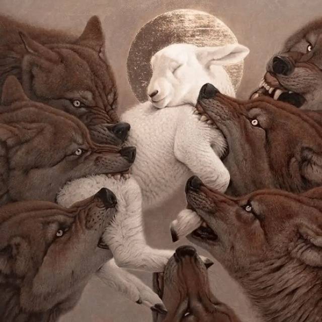 . #arte #parati #fyp #pintura #encajar #wolf #sheep #foryou #lobo #obeja #viral #video #tiktok #foto 