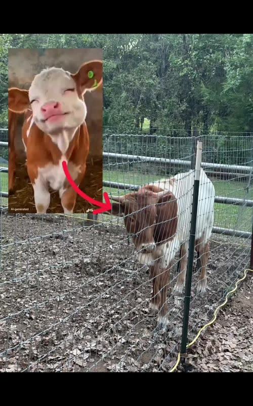 Shaking head AI meme TikTok trend example by @xbus2603201231
