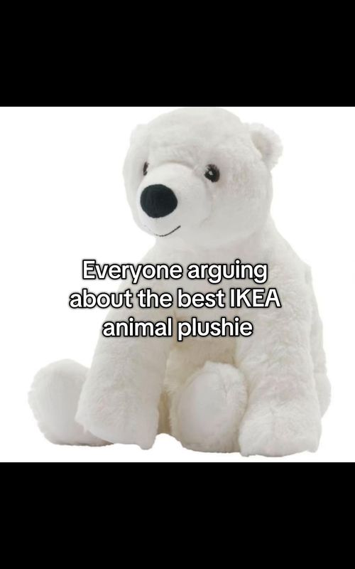 Best IKEA plushie debate TikTok trend example by @victoria_200812