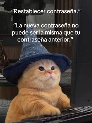 Wizard cat typing at a computer TikTok trend example by @mosycamarero8