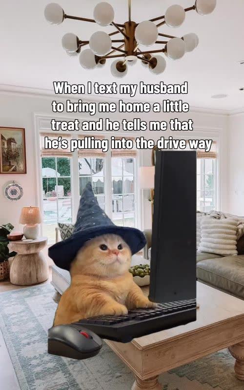 Wizard cat typing at a computer TikTok trend example by @samkay0611