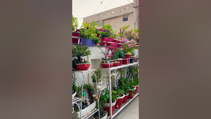@gardeningandcreativity outlier video