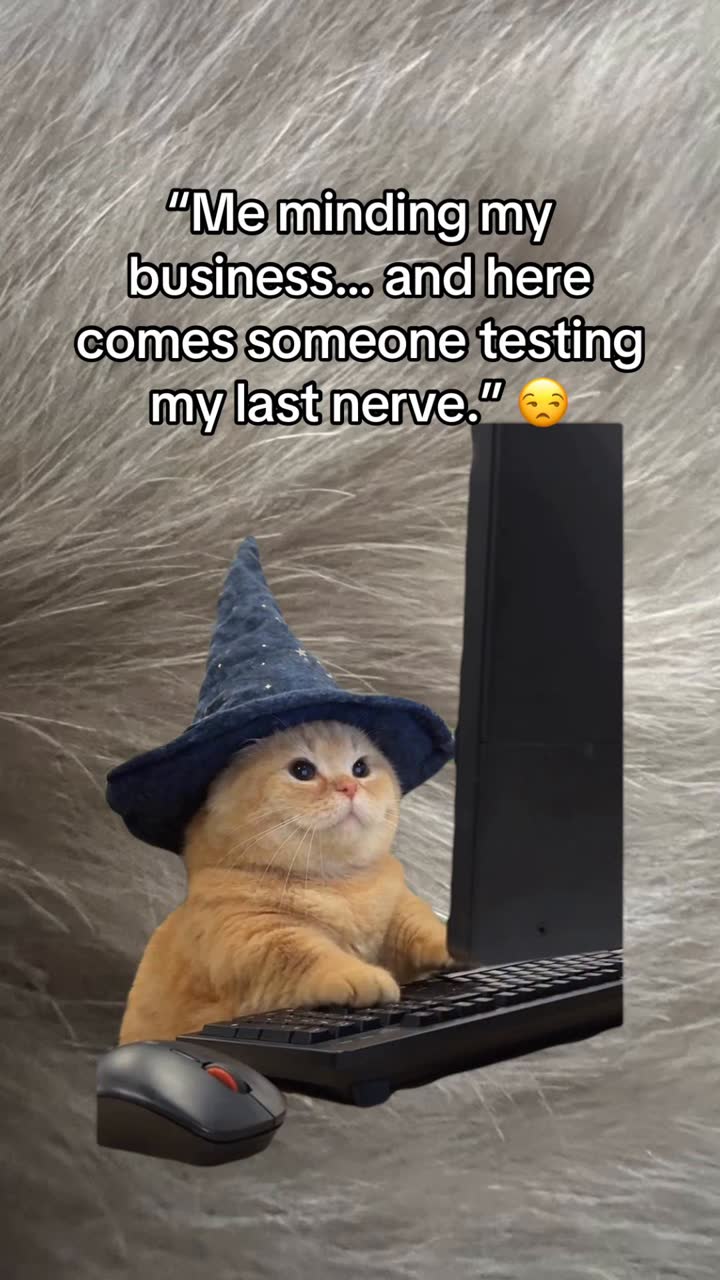 Wizard Cat at Keyboard trend example by @thepetsofdoom101