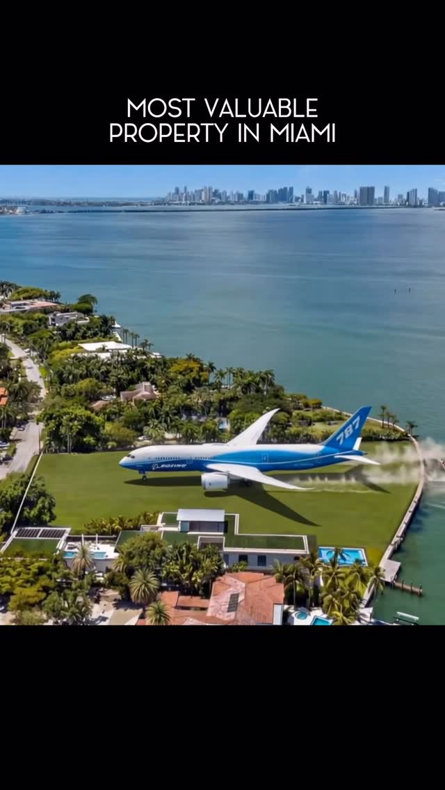 @nelsongonzalezmiami outlier video