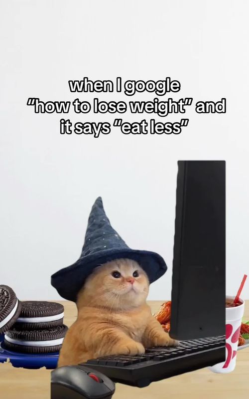 Wizard Cat at Keyboard trend example by @literally_just_a_grl