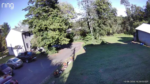@lisacuff1978 outlier video