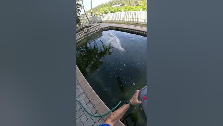 @AdamTheePoolGuy outlier video