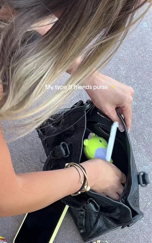 My type B friends purse - TikTok hook example